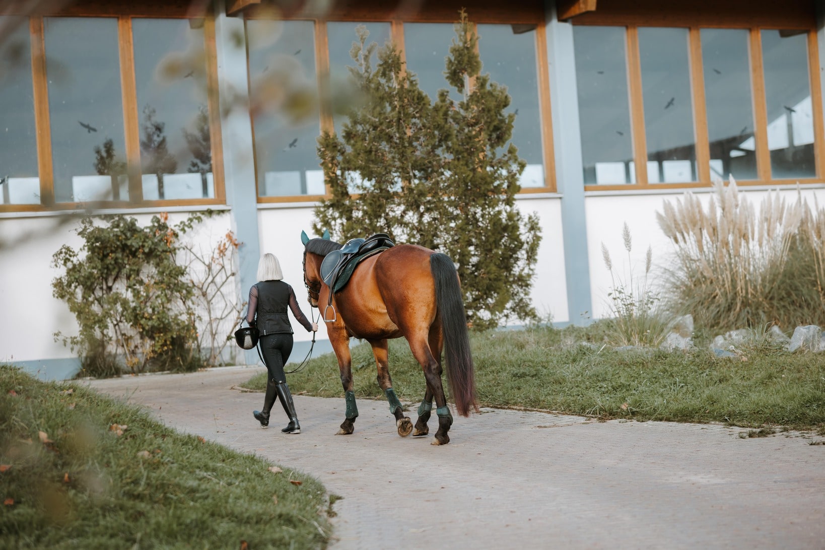 Frau führt ein Pferd an der Hand