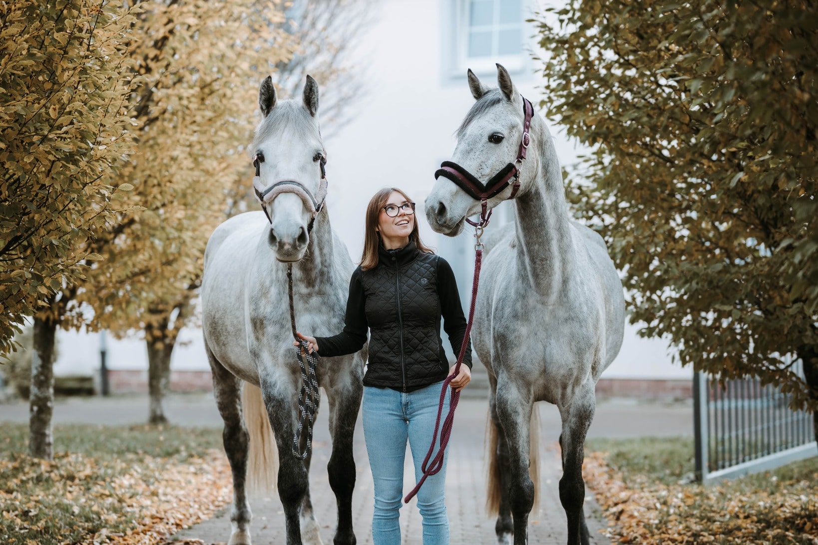 Ein Mädchen, das zu 2 Pferden aufblickt. Im Hintergrund sind Bäume zu sehen