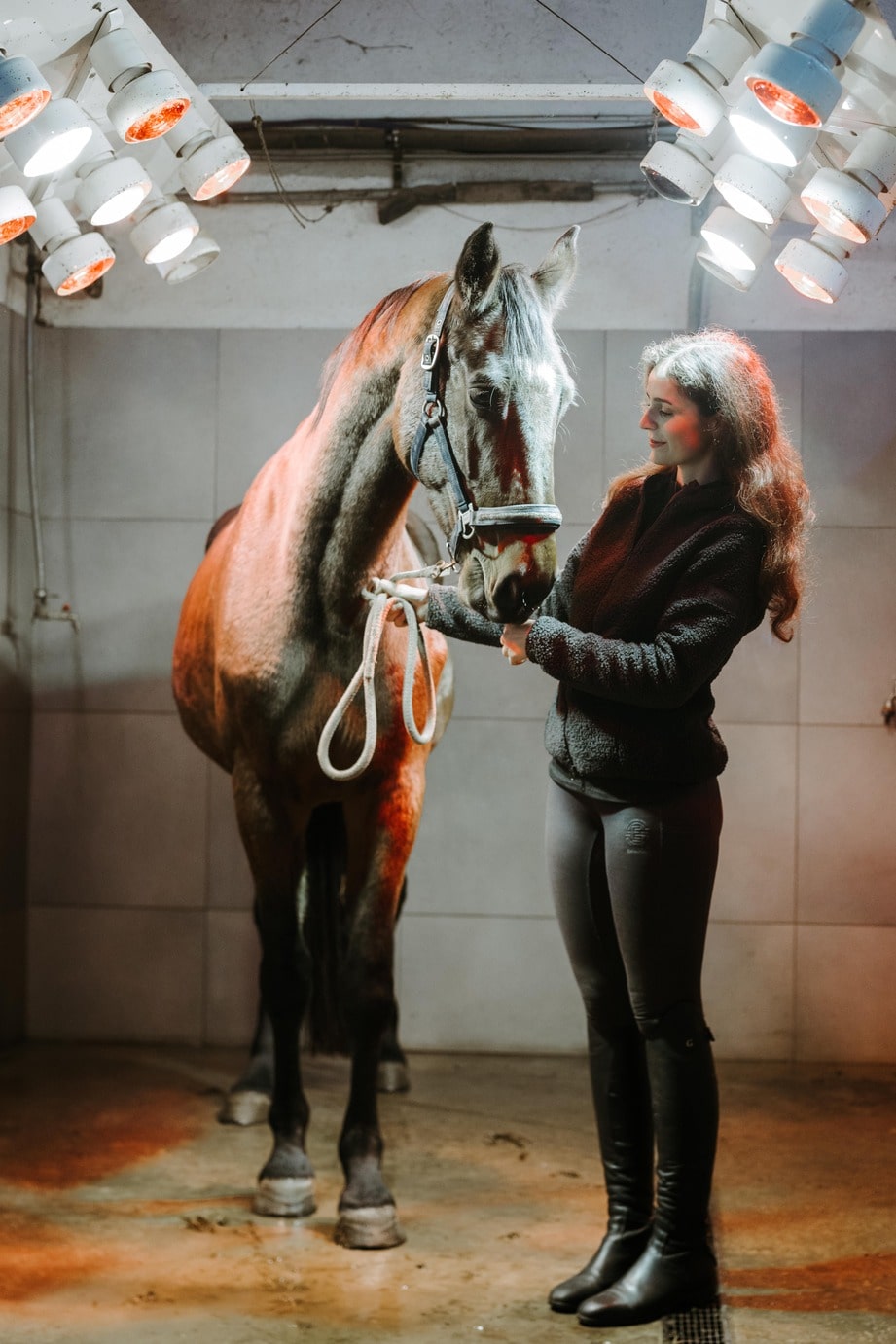 Frau mit einem Pferd in einem Pferdesolarium