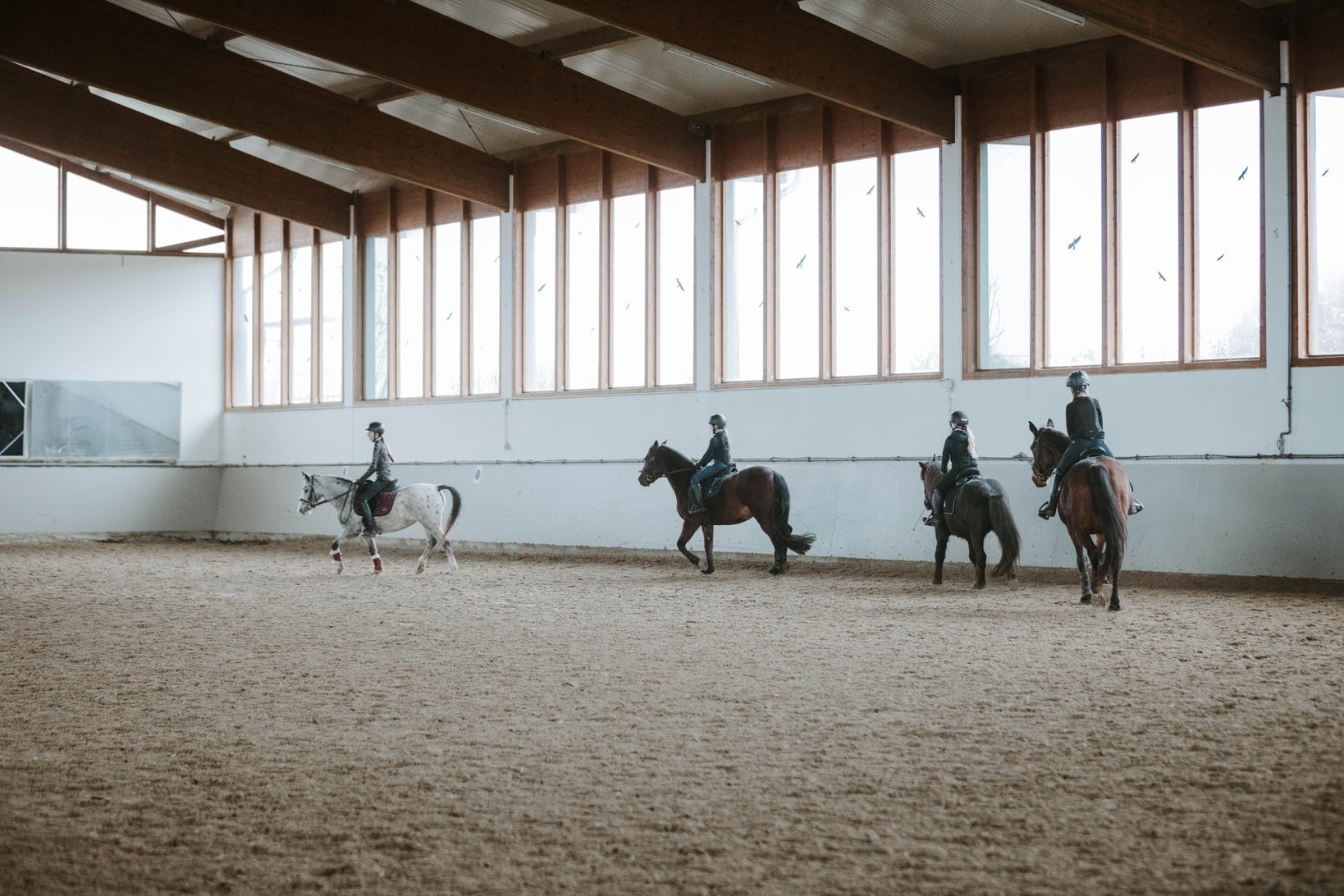 Kinder reiten auf Pferden in einer Reithalle
