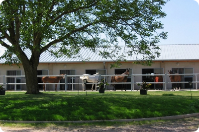 Stall