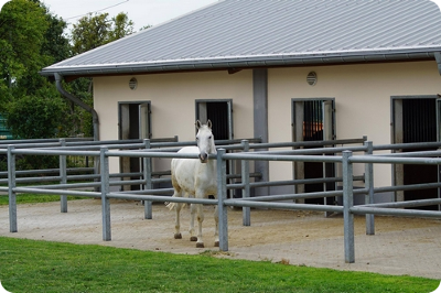 Stall