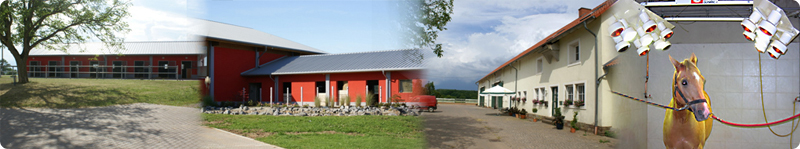 Reitanlage Biringen