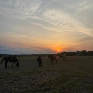 WhatsApp-Image-2026-01-05-at-09.44.03