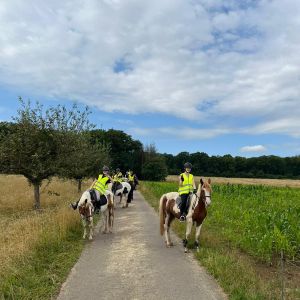 WhatsApp-Image-2026-01-05-at-09.44.08-1