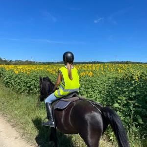 WhatsApp-Image-2026-01-05-at-09.44.09-3