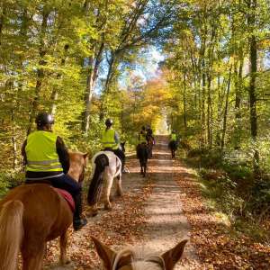 WhatsApp-Image-2026-01-05-at-09.44.11-1