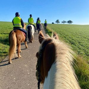 WhatsApp-Image-2026-01-05-at-09.44.12-1