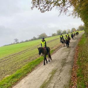 WhatsApp-Image-2026-01-05-at-09.44.13