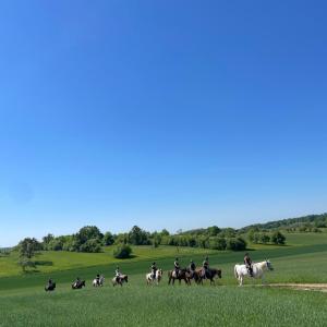 WhatsApp-Image-2026-01-07-at-12.56.15-1