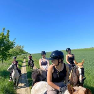 WhatsApp-Image-2026-01-07-at-12.56.15