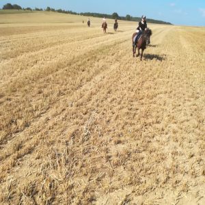 WhatsApp-Image-2026-02-17-at-11.43.06