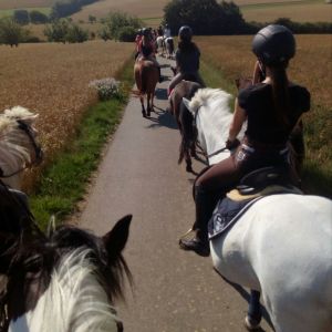 WhatsApp-Image-2026-02-17-at-11.43.16-5