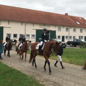 WhatsApp-Image-2026-02-17-at-11.43.19-3