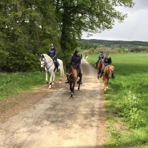 WhatsApp-Image-2026-02-17-at-11.43.20-2