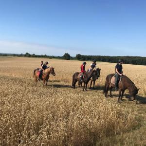 WhatsApp-Image-2026-02-17-at-11.43.24-2