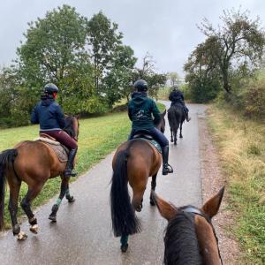 WhatsApp-Image-2026-02-17-at-11.43.24