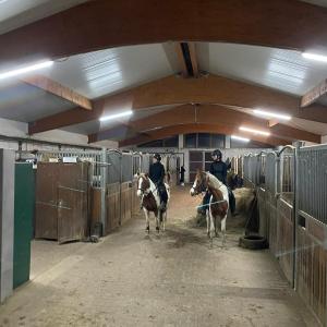 WhatsApp-Image-2026-01-05-at-09.44.01-1