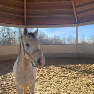 WhatsApp-Image-2026-01-05-at-09.44.01-2