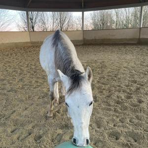 WhatsApp-Image-2026-01-05-at-09.44.01