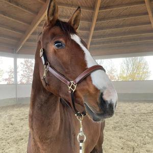 WhatsApp-Image-2026-01-05-at-09.44.02