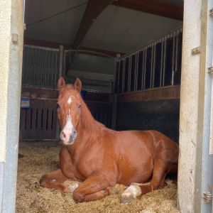 WhatsApp-Image-2026-01-05-at-09.44.07