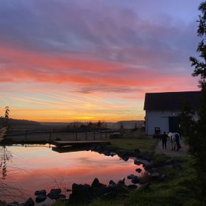 WhatsApp-Image-2026-01-05-at-09.44.14-1