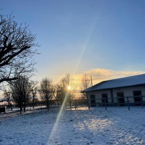 WhatsApp-Image-2026-01-07-at-16.30.44