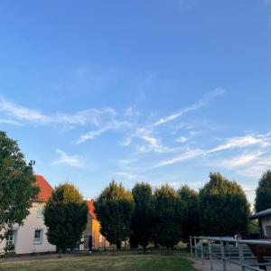 WhatsApp-Image-2026-01-07-at-16.30.46-1