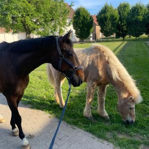 WhatsApp-Image-2026-01-07-at-16.30.46