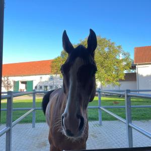 WhatsApp-Image-2026-01-07-at-16.30.48-3