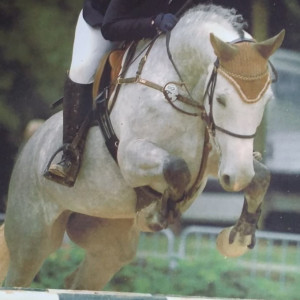 WhatsApp-Image-2026-02-17-at-11.43.14-2