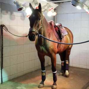 WhatsApp-Image-2026-02-17-at-11.43.14-3