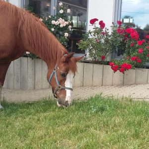 WhatsApp-Image-2026-02-17-at-11.43.15-2