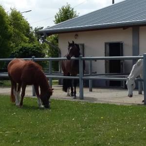 WhatsApp-Image-2026-02-17-at-11.43.15