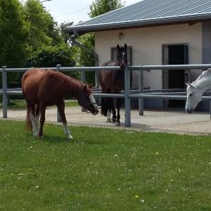 WhatsApp-Image-2026-02-17-at-11.43.16-1