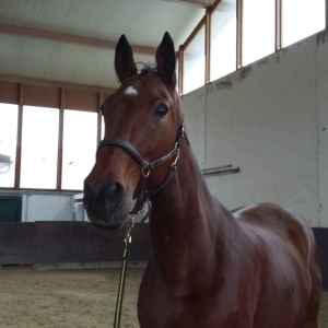 WhatsApp-Image-2026-02-17-at-11.43.16-2