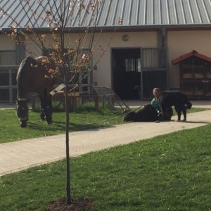 WhatsApp-Image-2026-02-17-at-11.43.16-3