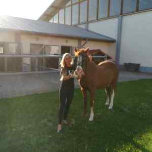 WhatsApp-Image-2026-02-17-at-11.43.16-6