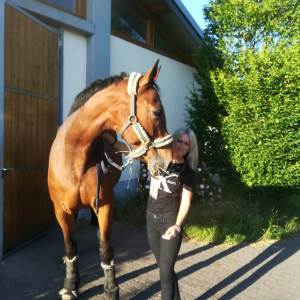 WhatsApp-Image-2026-02-17-at-11.43.16-7