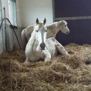 WhatsApp-Image-2026-02-17-at-11.43.16