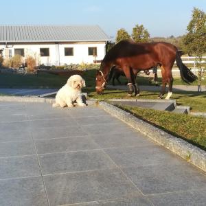 WhatsApp-Image-2026-02-17-at-11.43.17-1