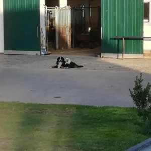 WhatsApp-Image-2026-02-17-at-11.43.19-5