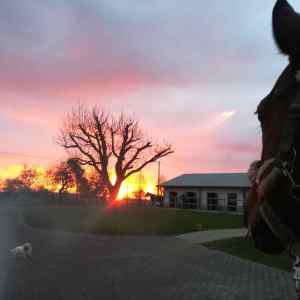 WhatsApp-Image-2026-02-17-at-11.43.19