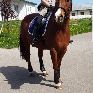 WhatsApp-Image-2026-02-17-at-11.43.20-1