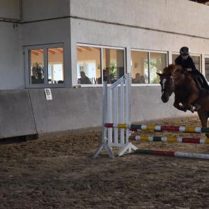 WhatsApp-Image-2026-02-17-at-11.43.21-10