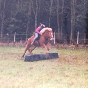 WhatsApp-Image-2026-02-17-at-11.43.21-7