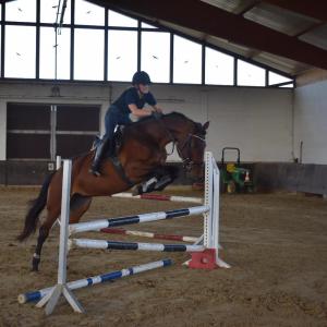 WhatsApp-Image-2026-02-17-at-11.43.21