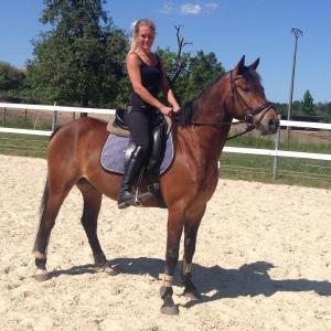 WhatsApp-Image-2026-02-17-at-11.43.22-3