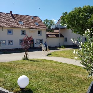 WhatsApp-Image-2026-02-17-at-11.43.22-5